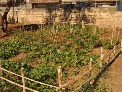 I tesserati gareggiano fra di loro per avere l'orto pi� bello